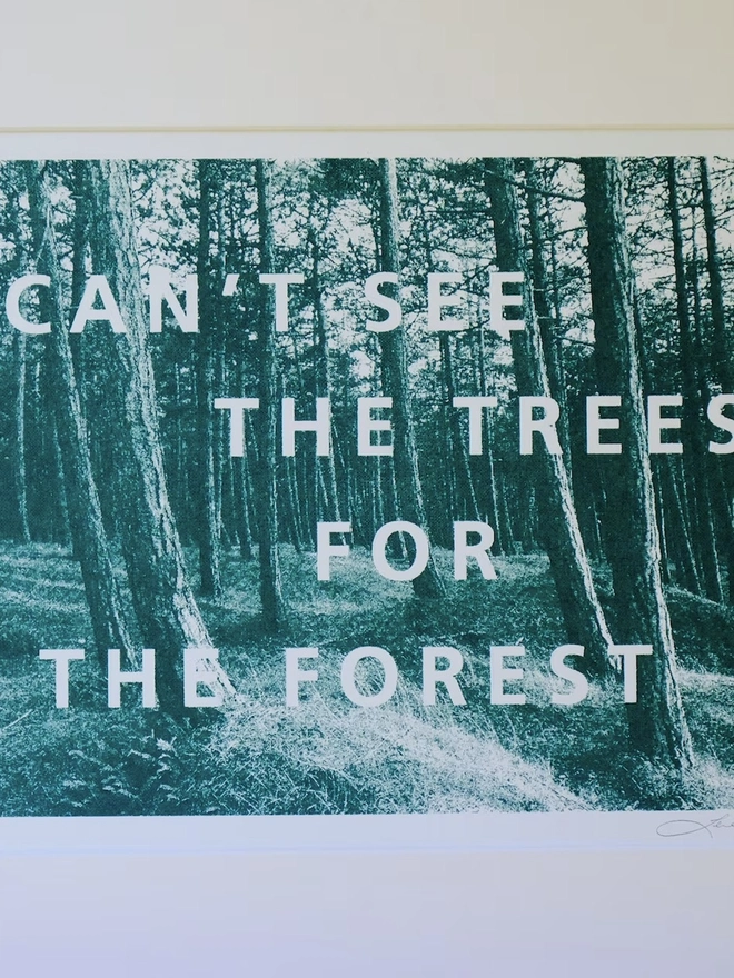 'Can't See The Trees For The Forest' Artwork Screen Print