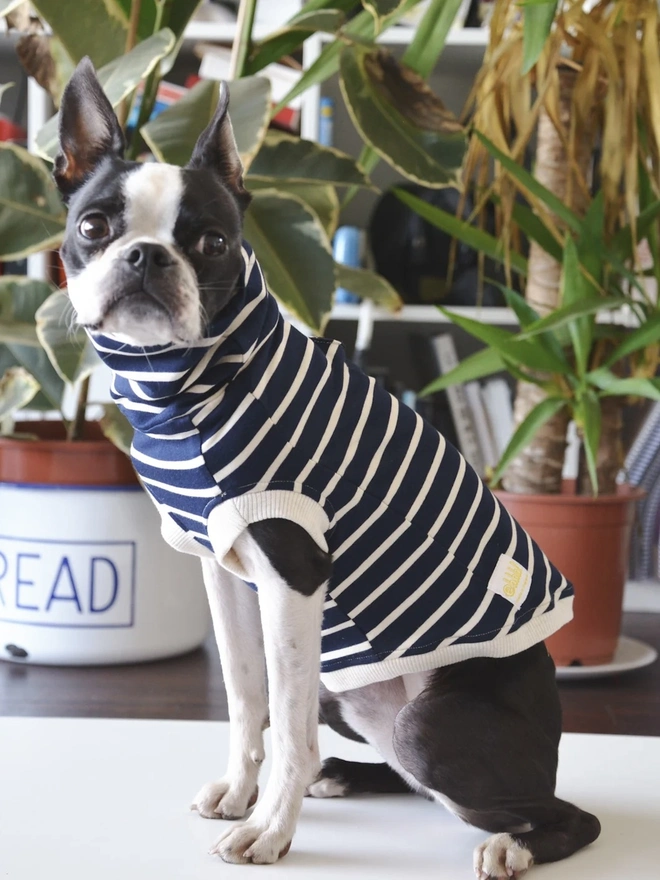 Koko Cotton Sleeveless Dog Top, Navy and White French Terry