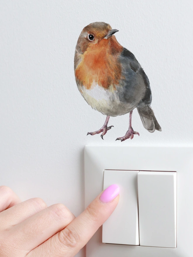 robin wall sticker 