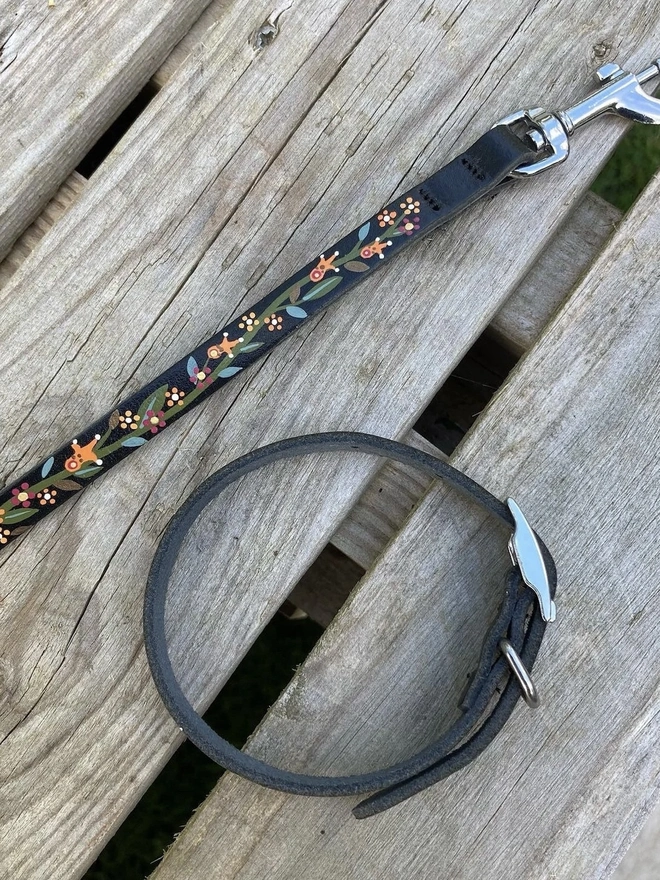 Puppy Collar and Leash/Lead Set