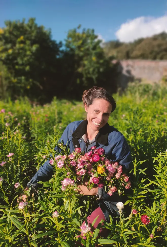 Angle Walled Garden Storefront Image