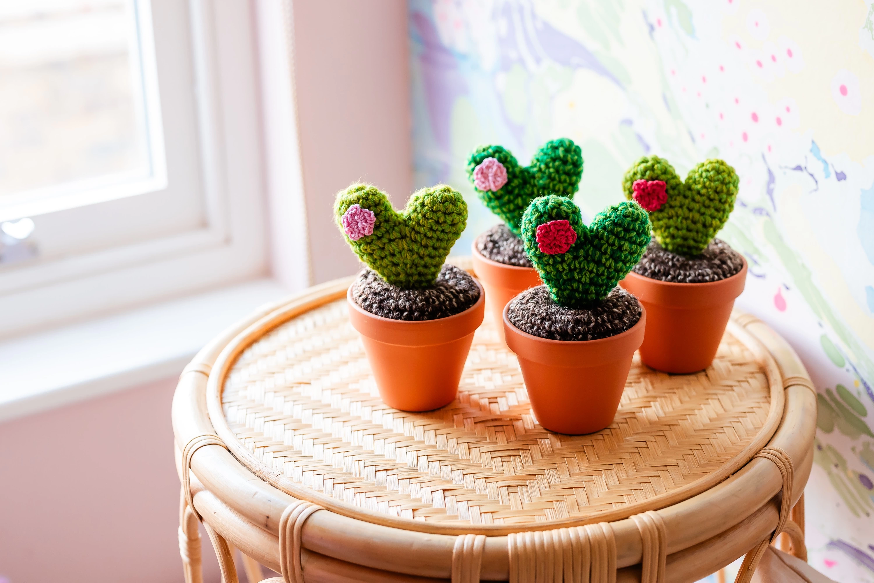 Valentine's Day gift, crochet cactus
