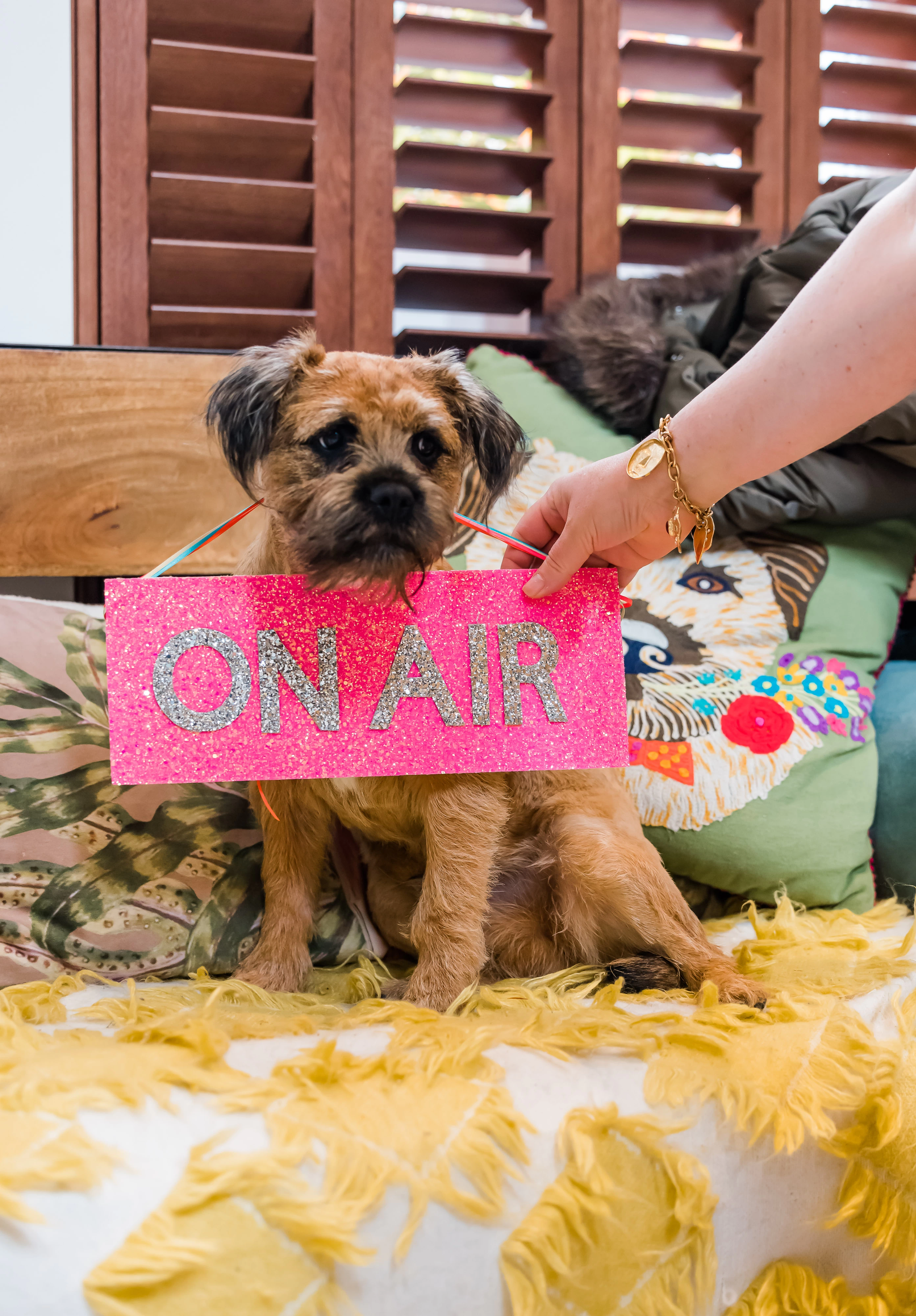 'On air' with Chewie