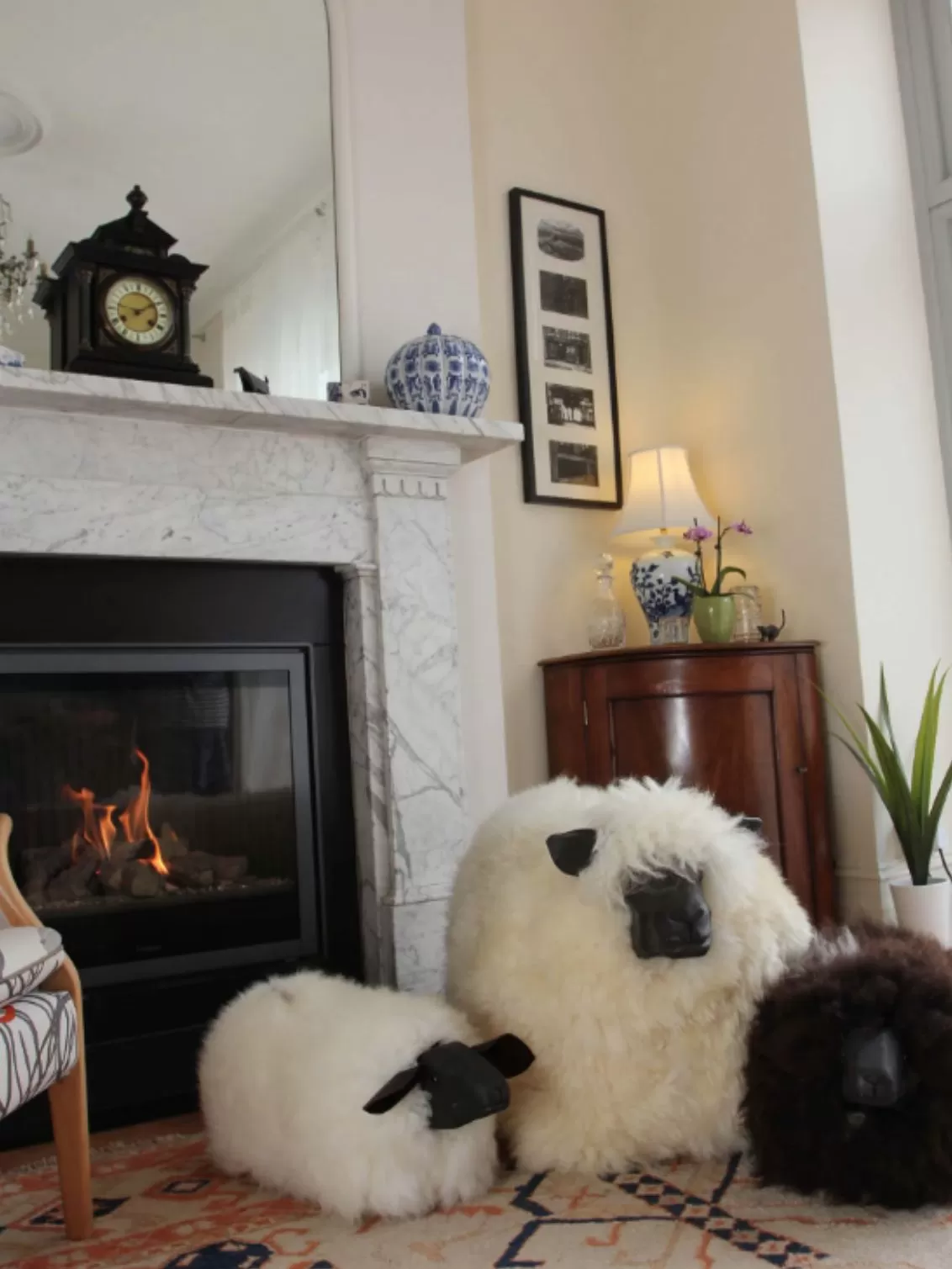 Image of three of the flock in front of a fire in a living room.