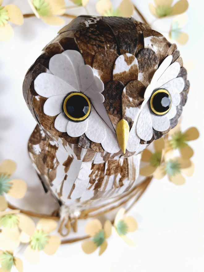 paper sculpture wall art, depicting a boreal owl