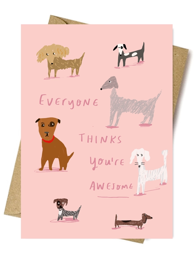Pink card reads 'Everyone thinks you're awesome'
