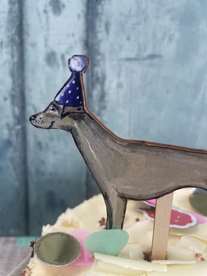 close up of whippet cake topper with purple party hat