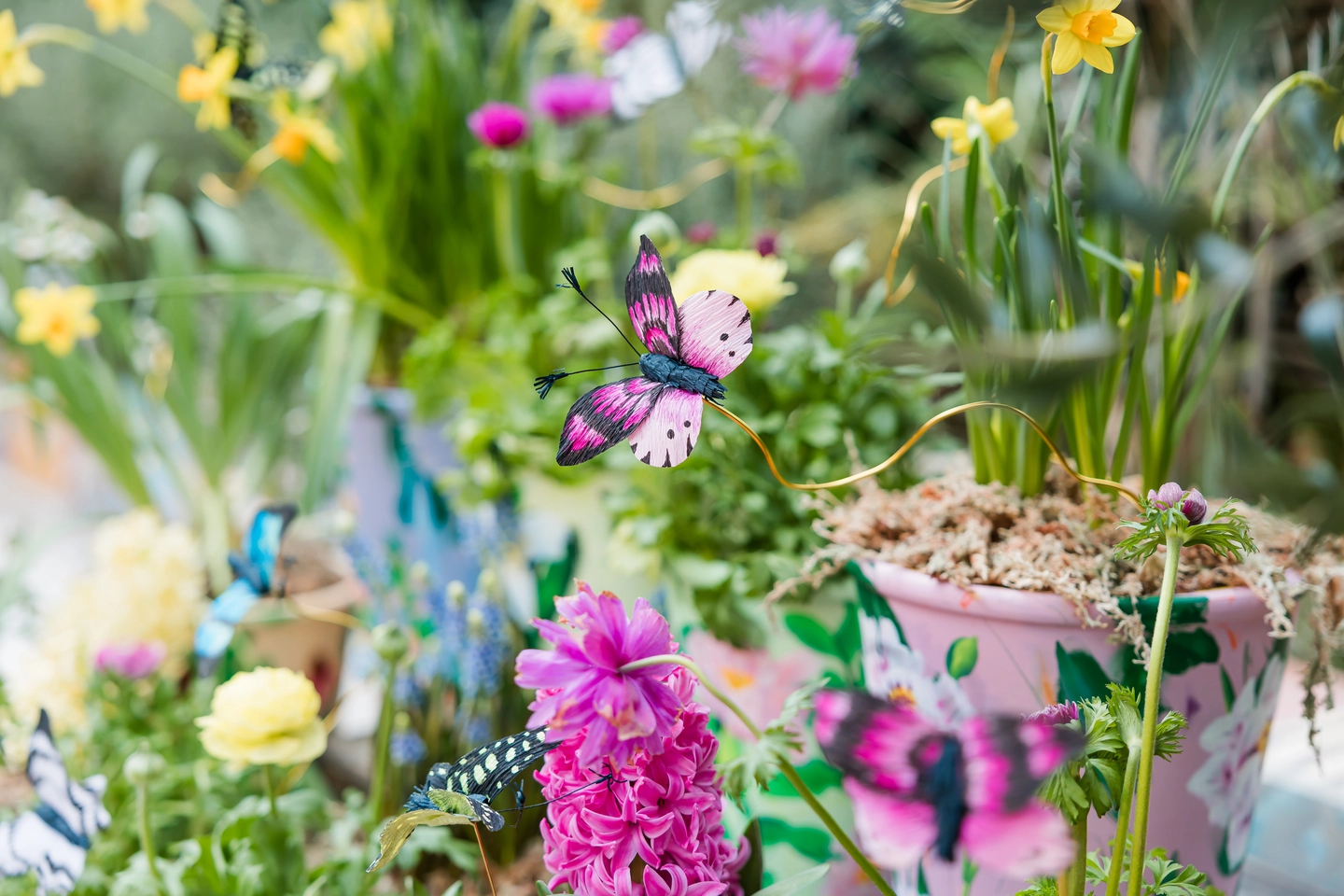 Butterfly paper decoration on spring bulbs in hand painted plant pots