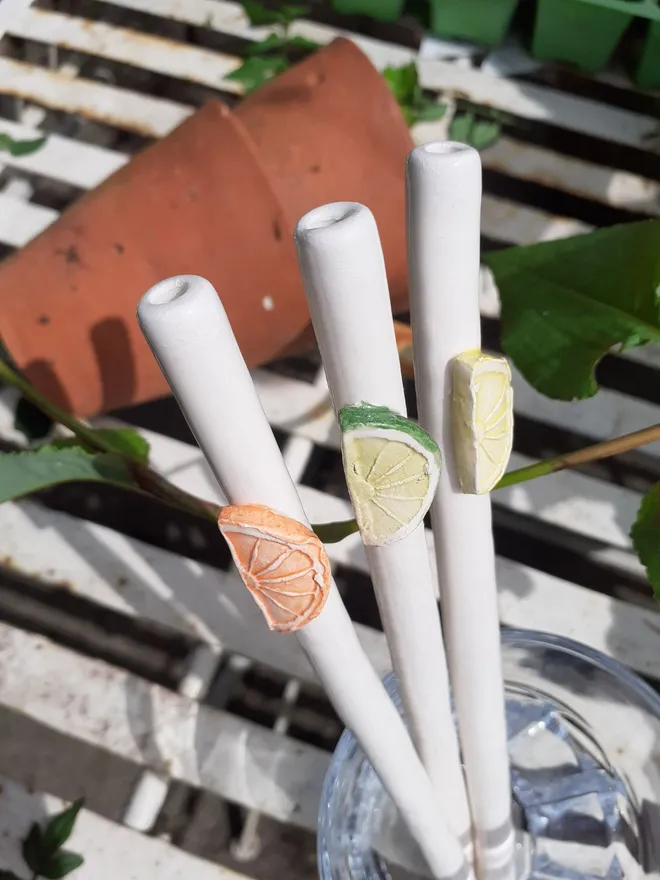 Lemon, Lime and Orange slice ceramic drinking straws on a garden table