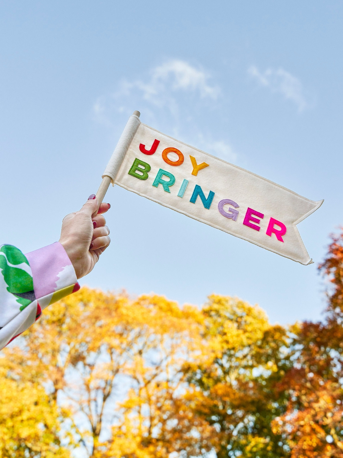 Joy Bringer Flag