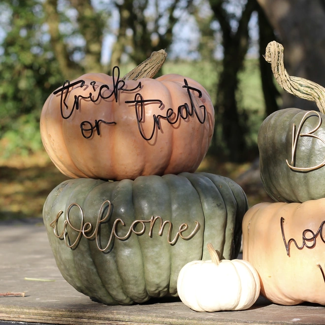 Trick or treat welcome halloween wired sign