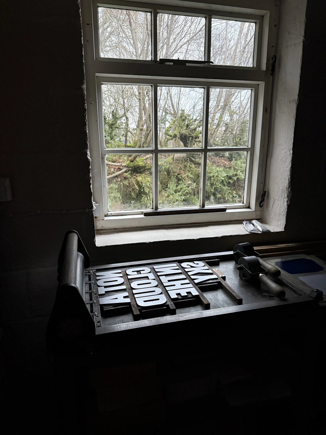 Wood type at the window of Dartmoor