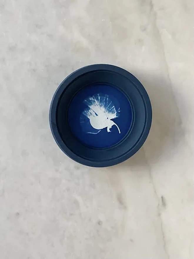 Cyanotype Flower Cameo Sweet Pea