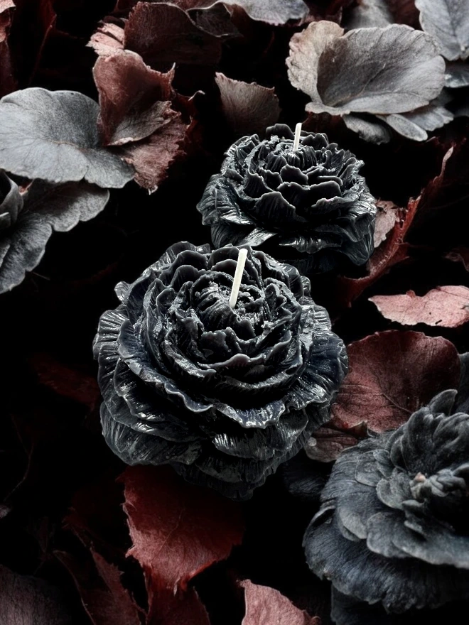 WEDNESDAY'S GARDEN BLACK PEONY CANDLE