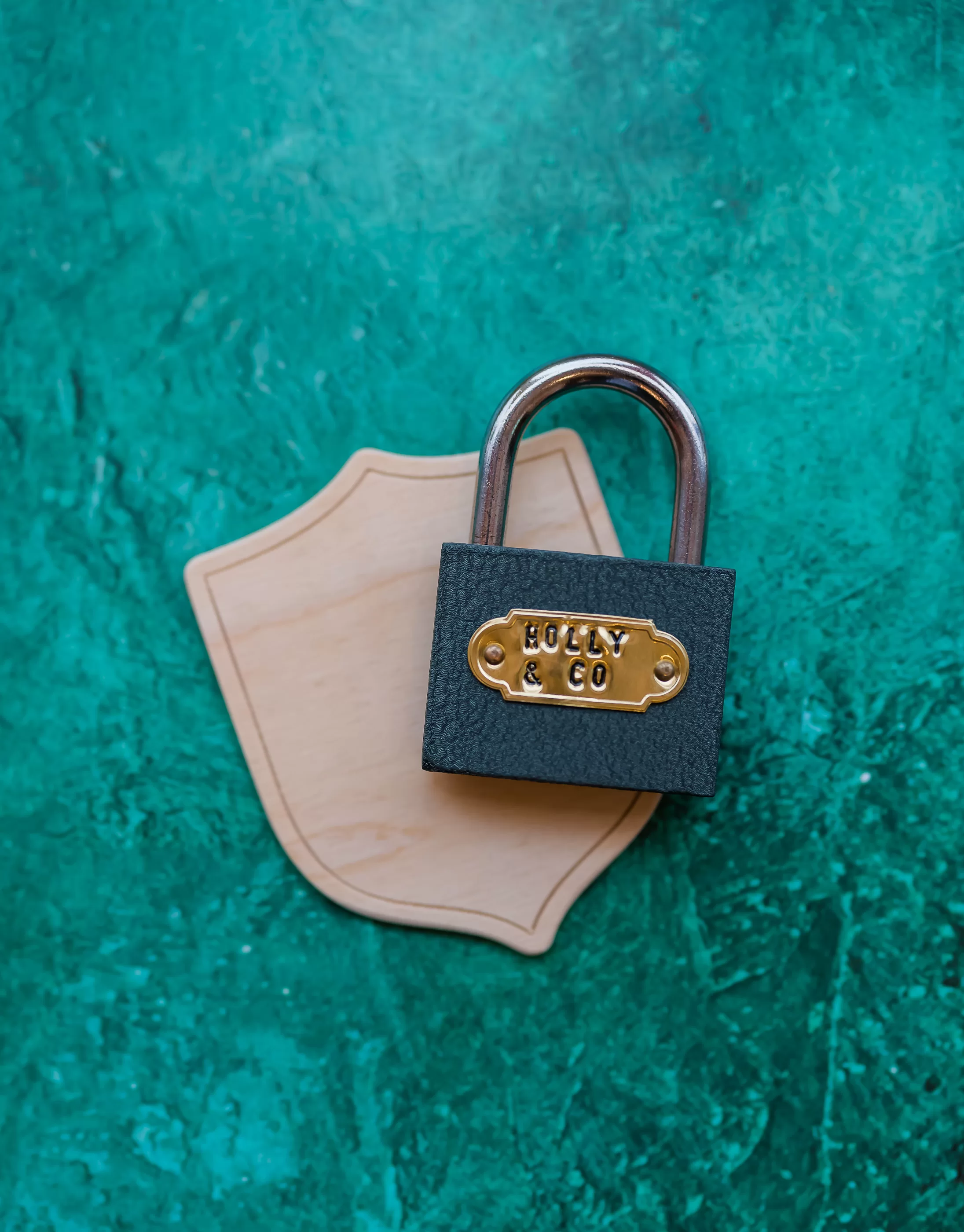 Holly & Co Lock and Wooden shield