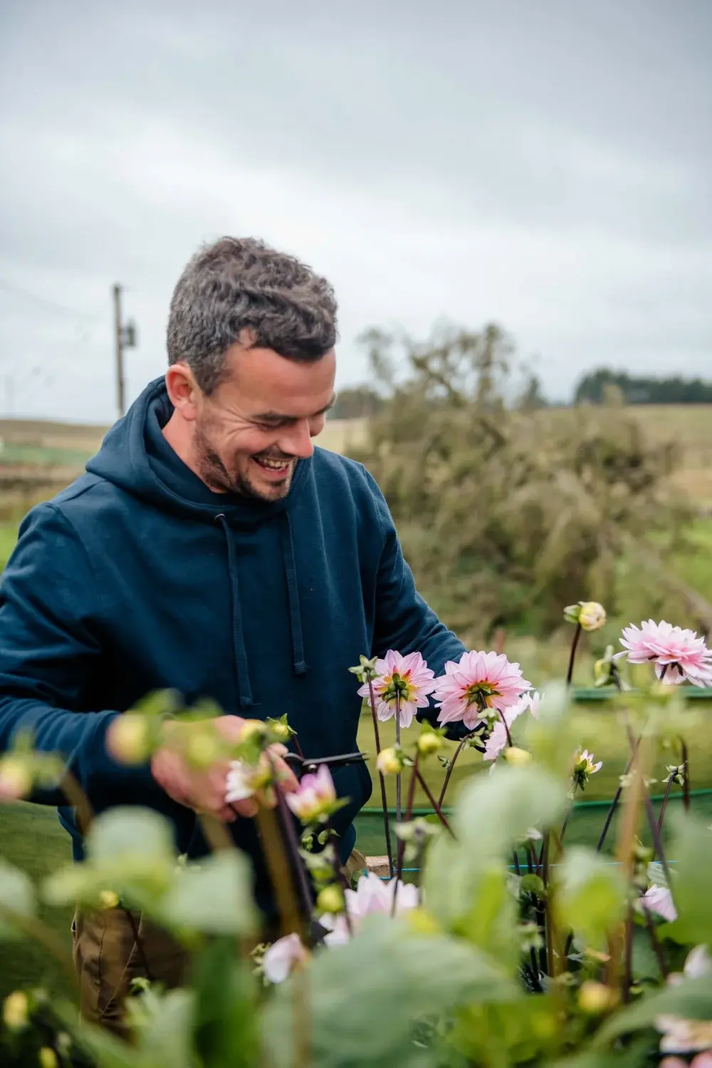 man smiling and picking pink flowers in bush