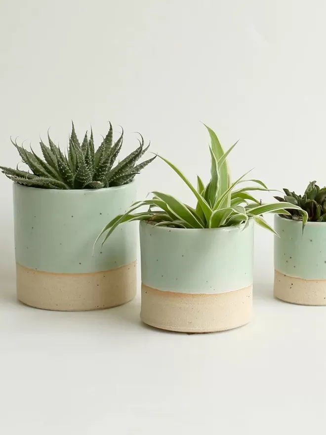 Mint Green Plant Pots 