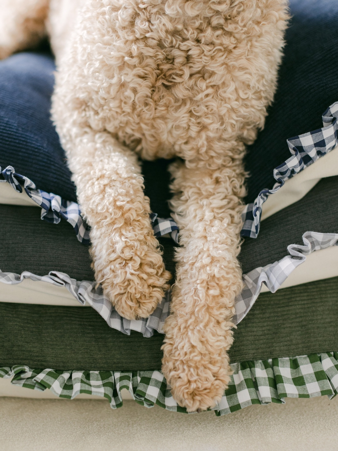 poodle on stack of corduroy gingham handmade pet cushions