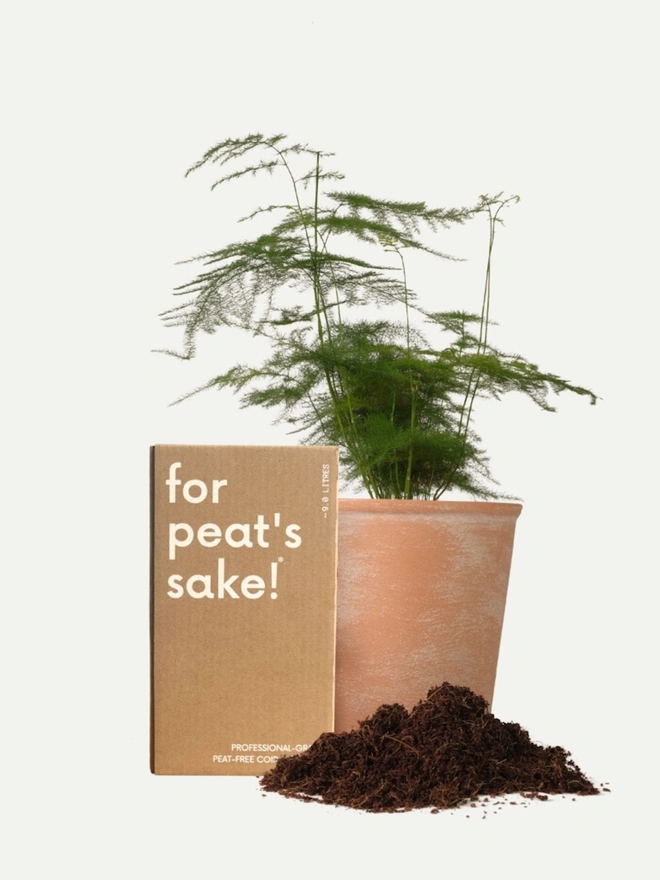 for peat's sake! eco coir compost with houseplant