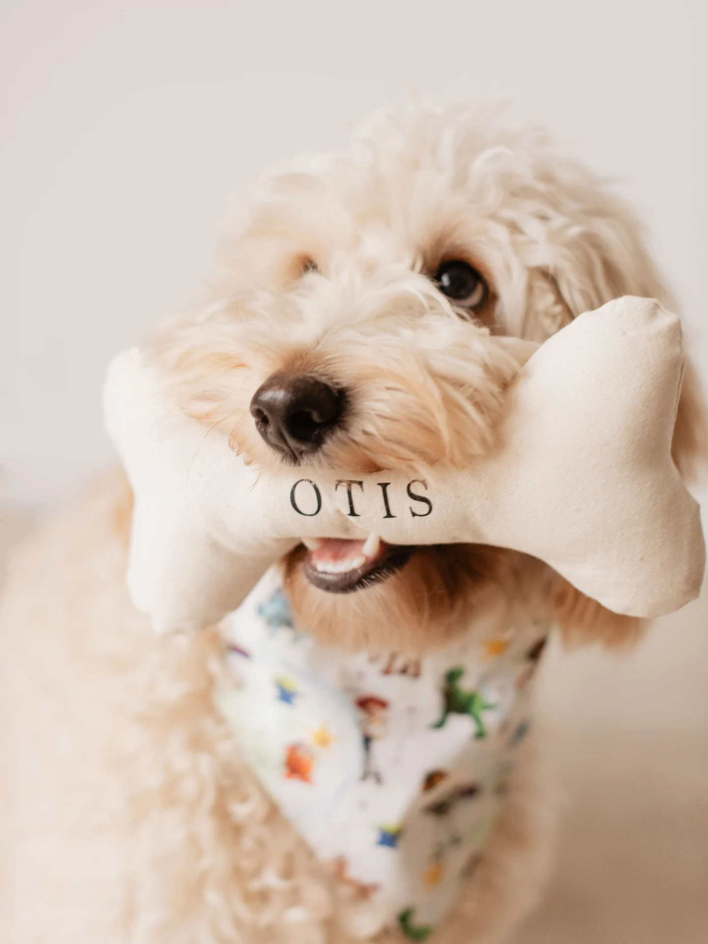 Personalised dog bone toy