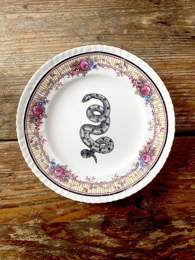 vintage plate with an ornate border, with a printed vintage illustration of a snake in the middle 