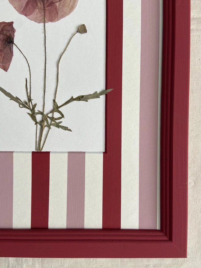 Bottom right corner of red painted frame with pressed poppy flower