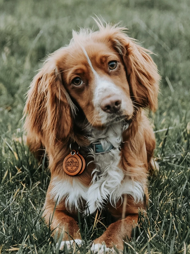 Adventurer - Double Saddle Tan Leather ID Tag