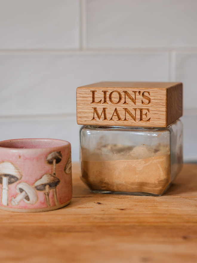 Lion's Mane mushroom 