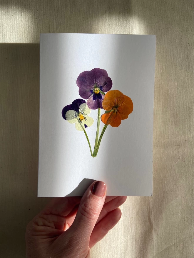 Hand holding pressed pansy flowers greeting card