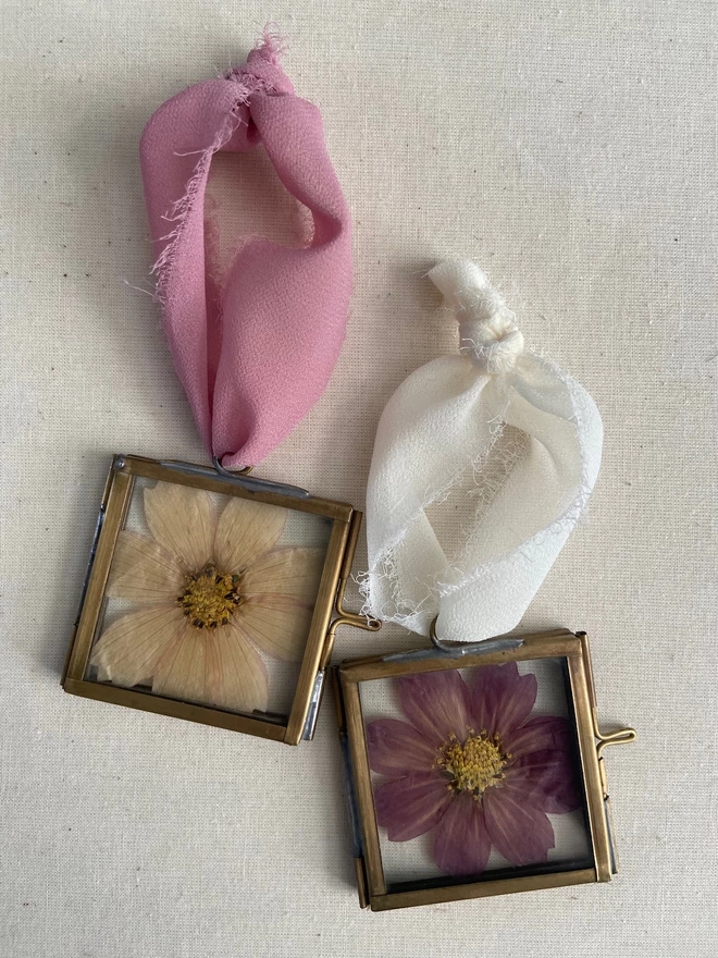 Two square brass frames, one with a pressed ivory flower and a pressed pink flower