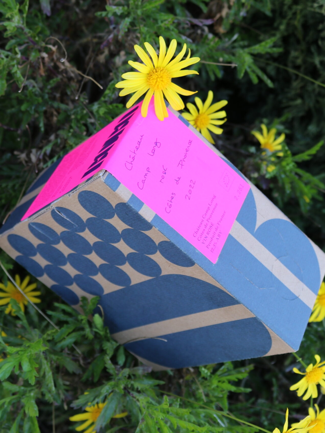 French rose box amongst flowers