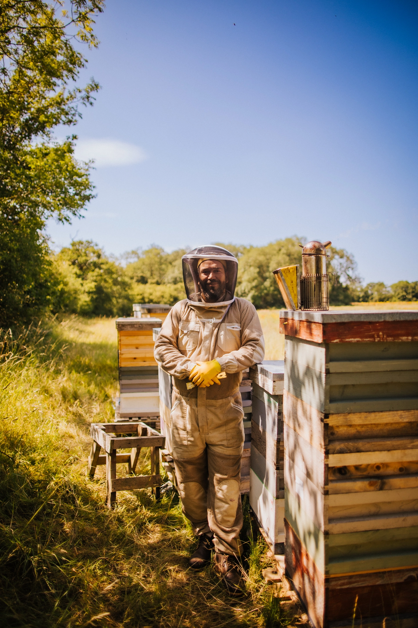 Beekeeper with hives in Hertfordshire