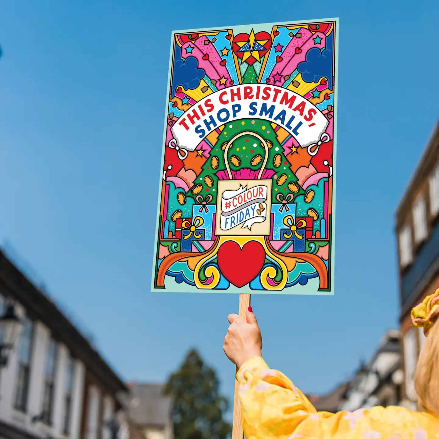 Colour Friday Placard image