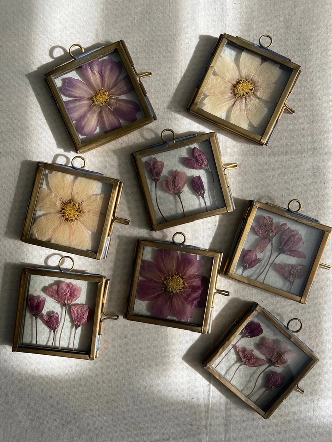 Multiple square brass frames with different pressed flowers in them
