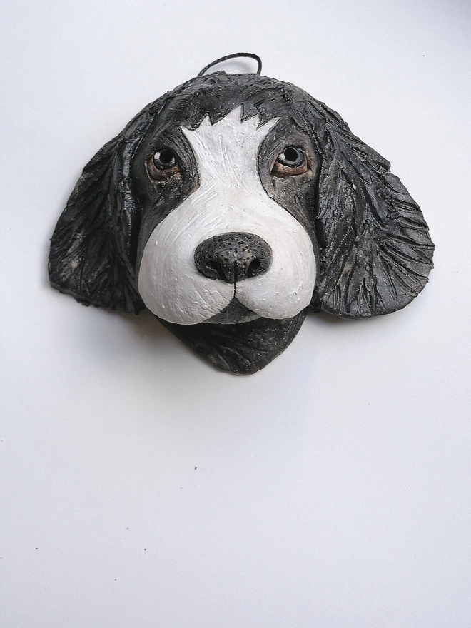 Black/ Grey Collie Dog Head With Brown Eyes
