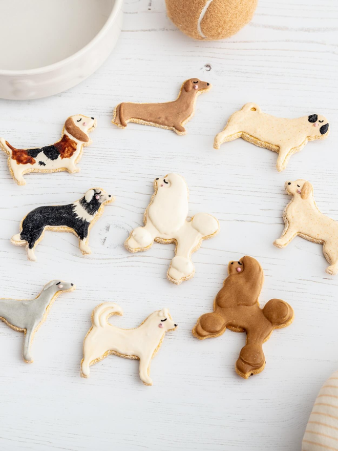 various dog breeds iced dog biscuits