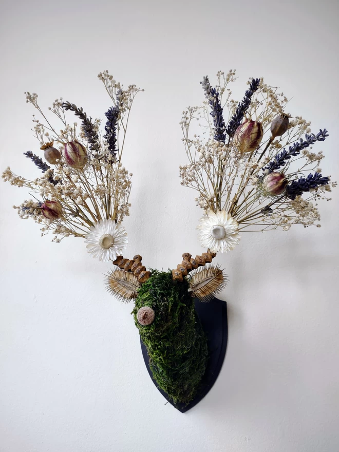 Cotswold Flora Botanical Stag Head Wall Mount Handmade Dried Flower Sustainable Art in The Cotswolds