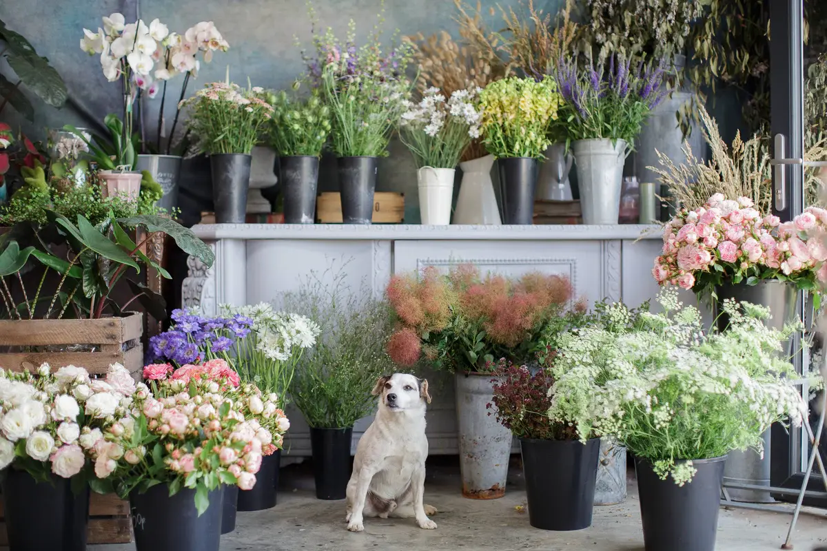 Southwold Flower Company