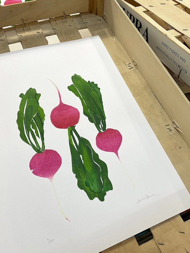 Radish Screenprint