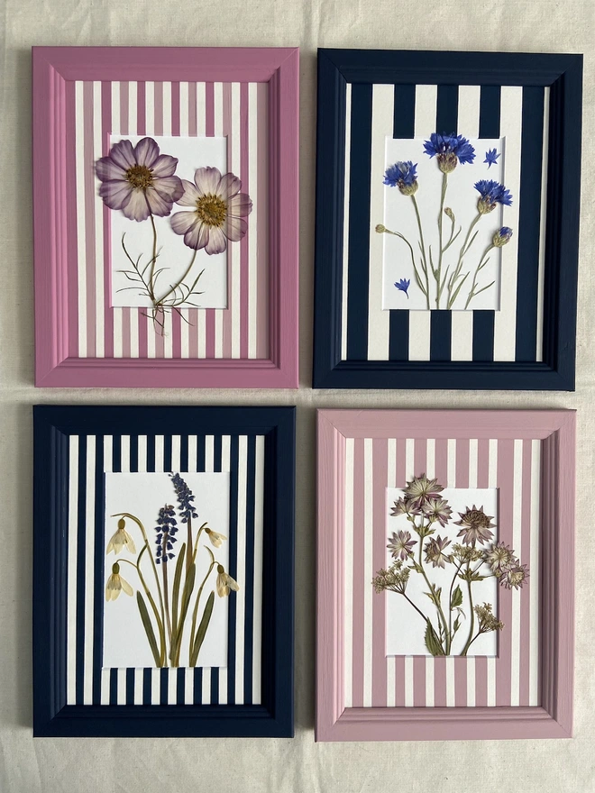 Four different frames of pressed flowers