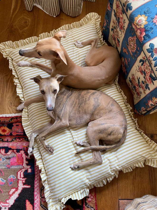 whippets on ochre ticking handmade cushion