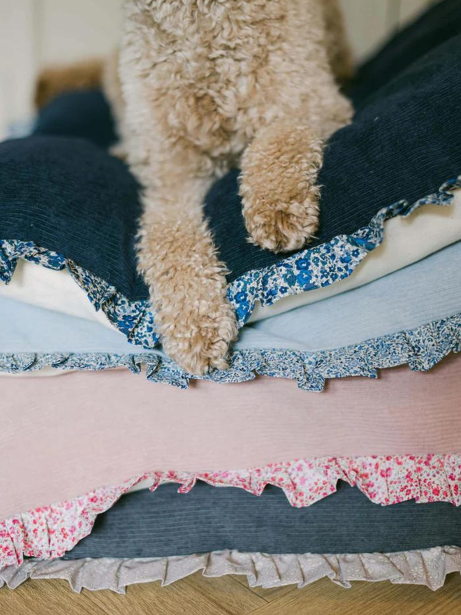 poodle on stack of liberty patterned fabric dog bed cushions