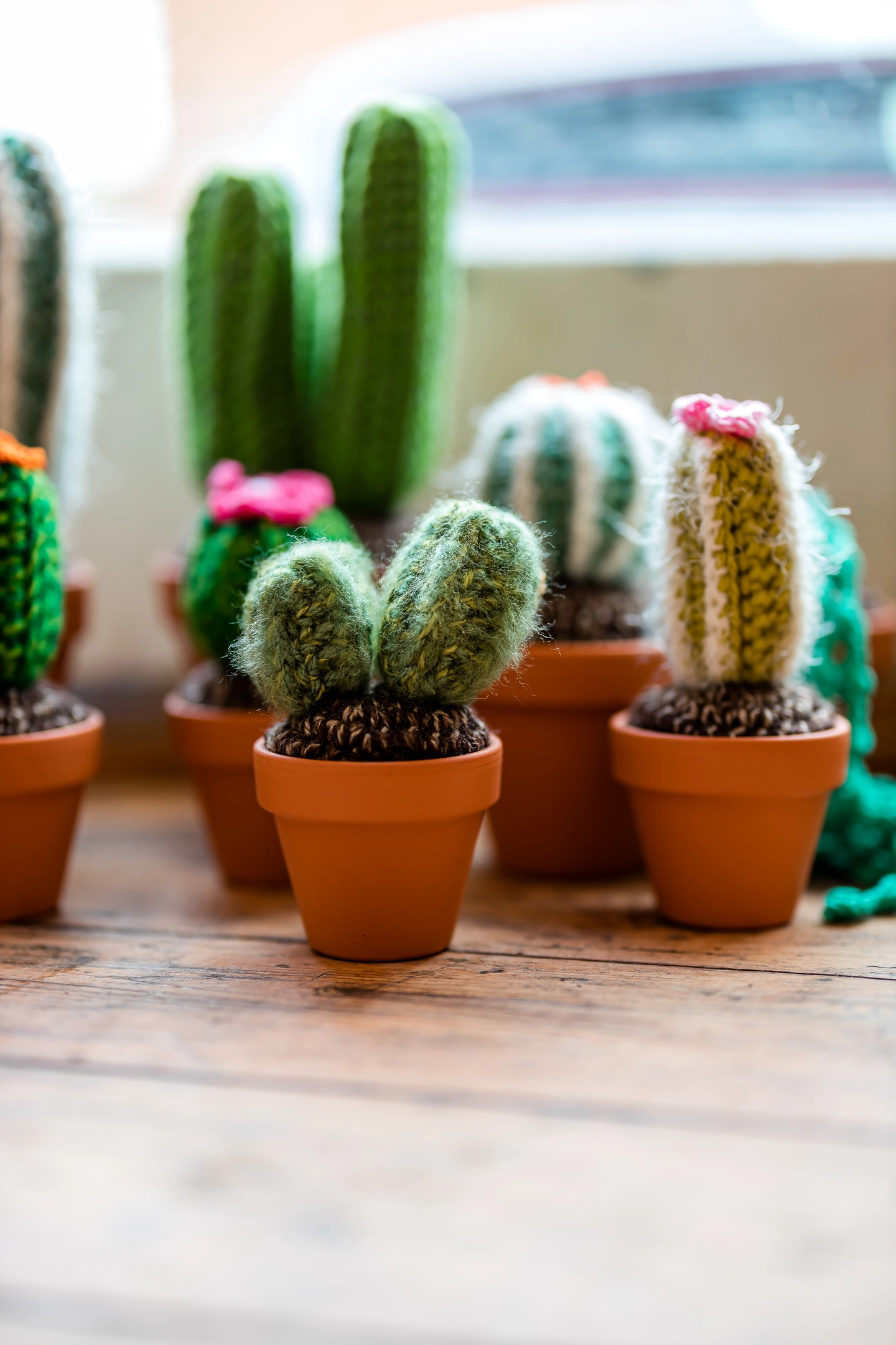 Crochet cactus
