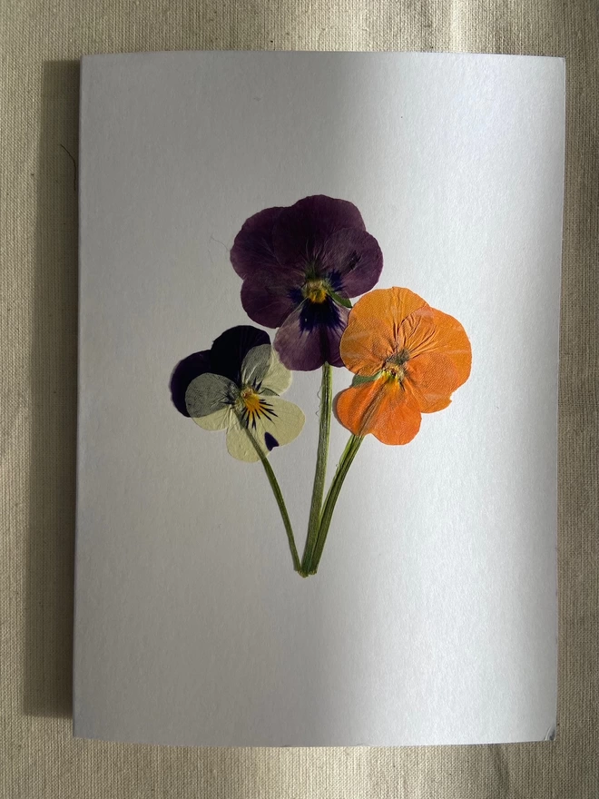 White greeting card with three pressed pansy flowers in orange, purples and creams