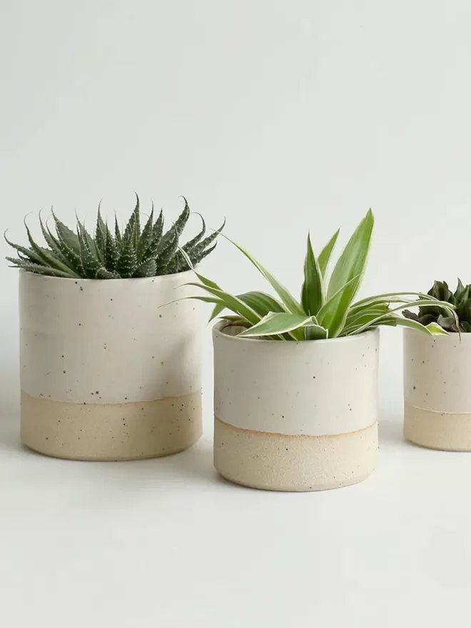 White Plant Pots