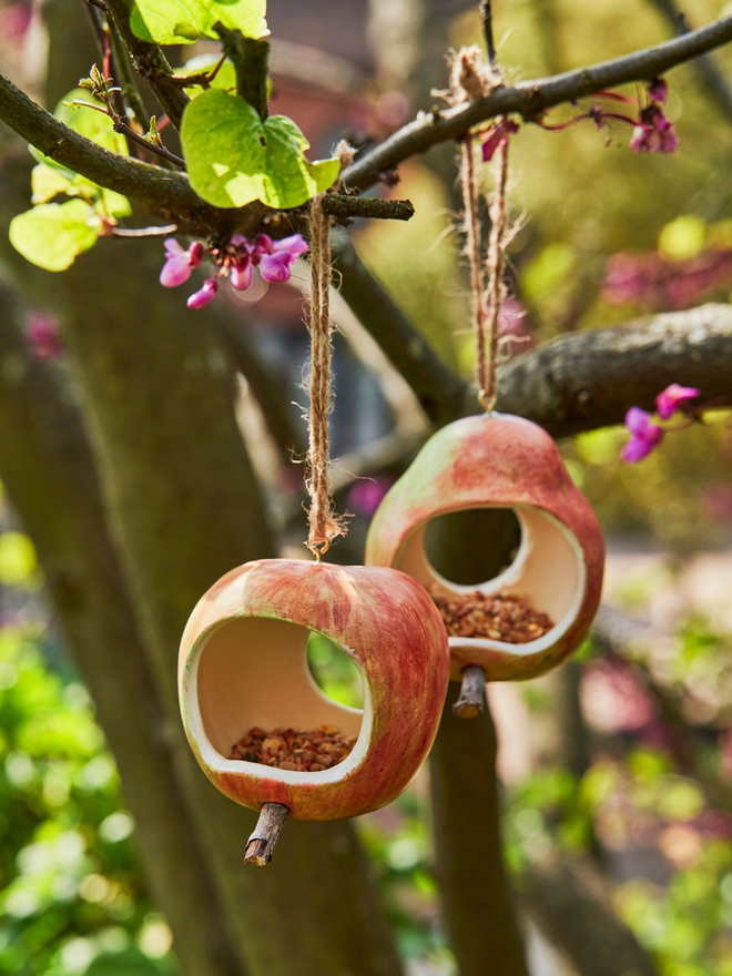 Pear Bird Feeder Pod