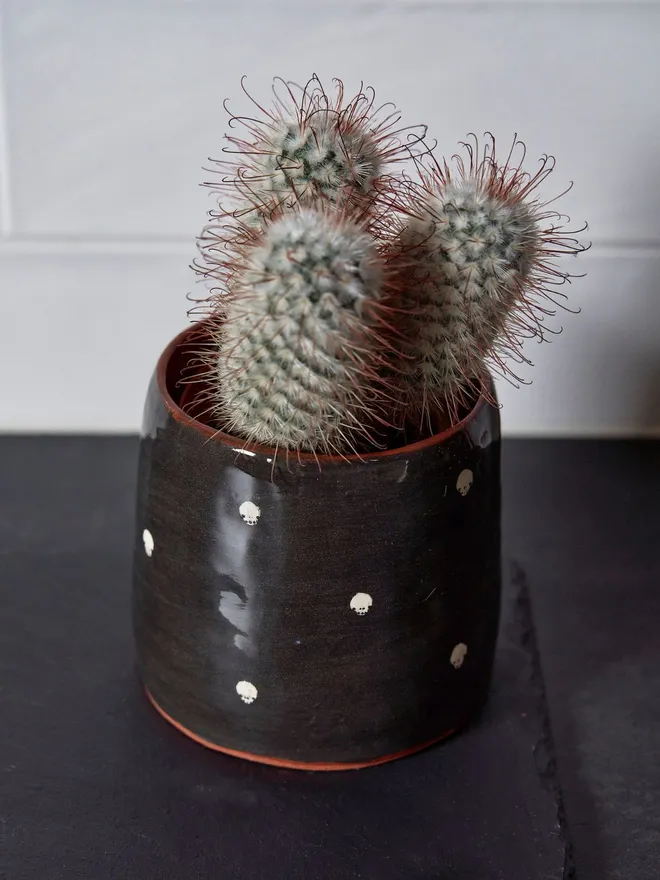 Black Earthenware Polkadot Skulls Plant Pot