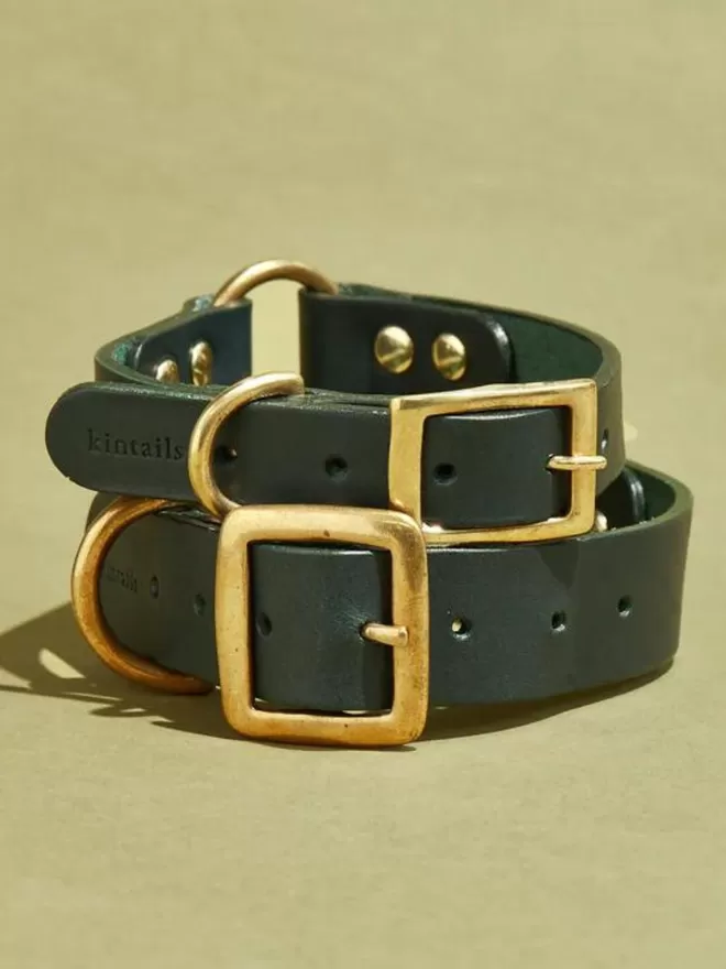 Leather Dog Collar - Green