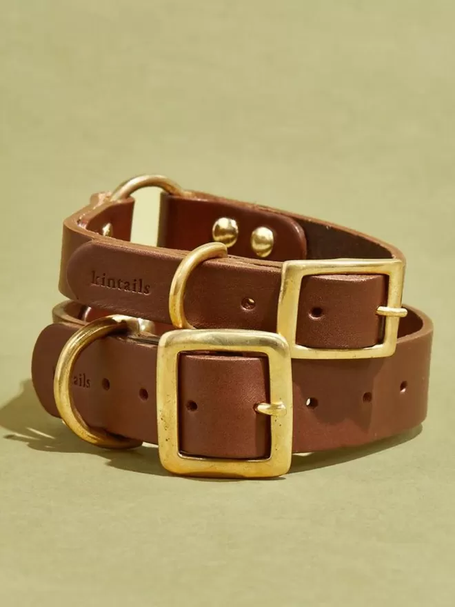 Brown leather dog collar