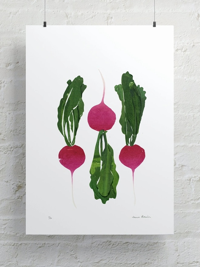 Radish Screenprint